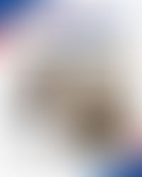 प्रमाण कुमारको बहिर्गमन र बुढो रूख ०.०