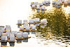 iStock-1856769112.jpg