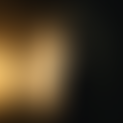 Silhouette einer Frau im warmen Abendlicht, neben einem Baum – Symbol für Schattenarbeit, innere Heilung und Selbstreflexion