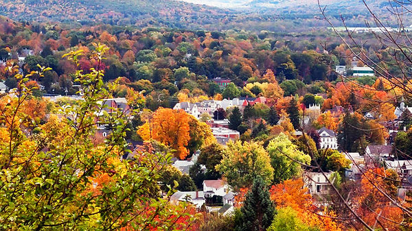 Oneonta landscape - wooded hills in autumn | Dorothy Fee | freelance copywriter | copywriting portfolio
