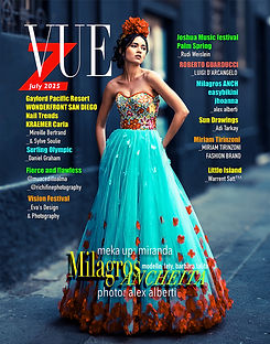 VueCOVER.jpg