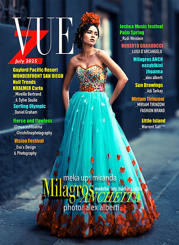VueCOVER.jpg