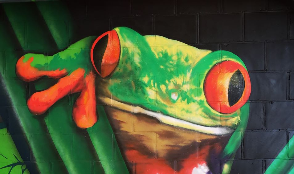 Graffiti kunst muurschildering op maat – deejoohcee graffiti kunstenaar Vlaanderen