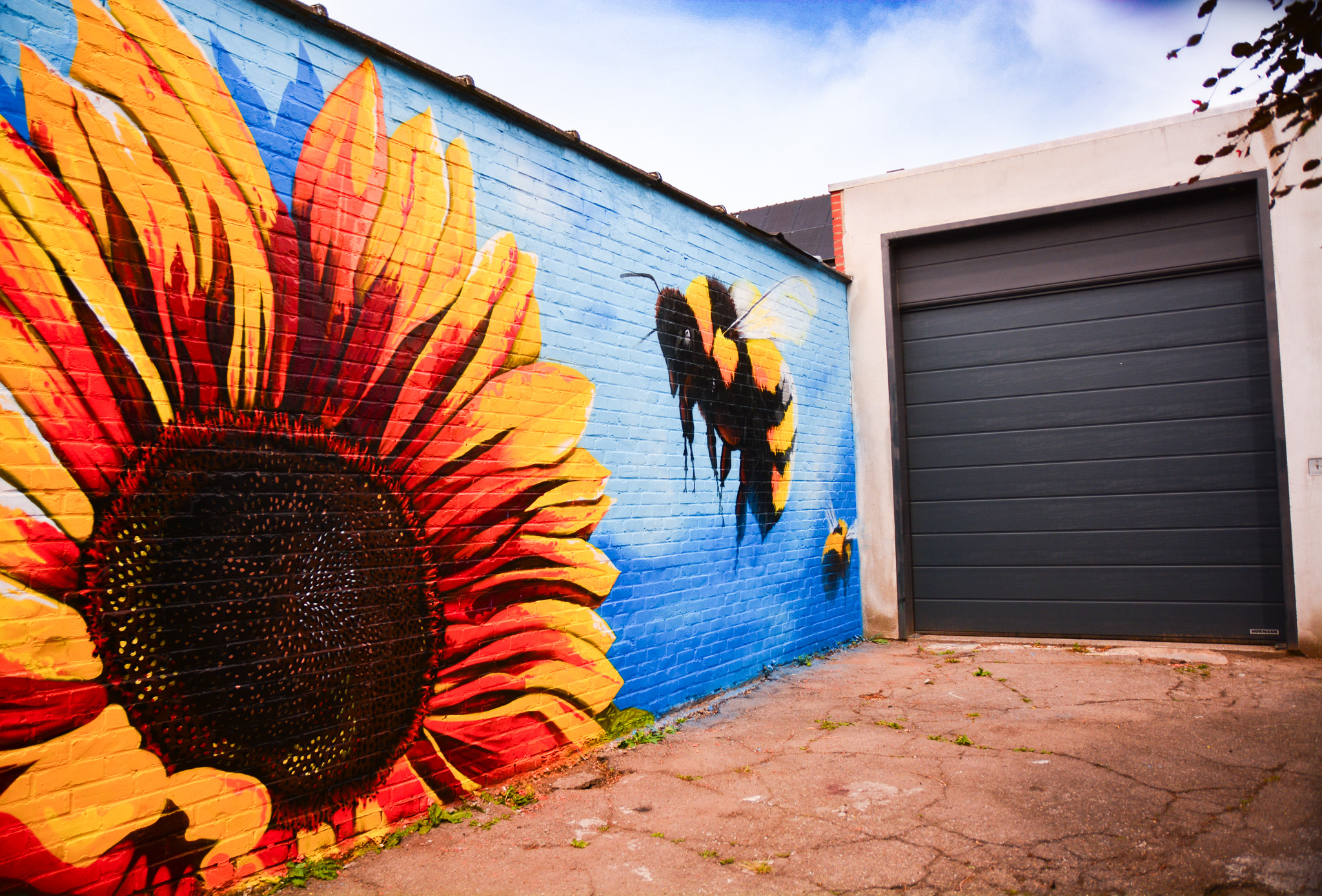 Graffiti flower Hasselt