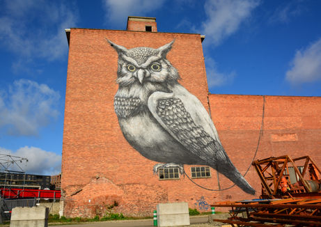 Street Art Hasselt mural van  Mural van ROA, Street Art Route Hasselt
