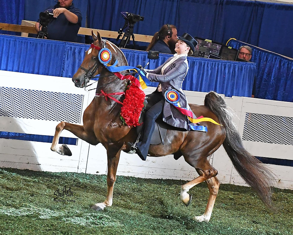 594356167_1642131700495766_7399123770027148698_n