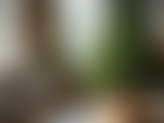 Christmas Care Tips for Your Premium Nordmann Fir Tree After Bringing It Home