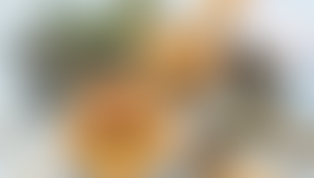 REVISTAS RECONHECIDAS DE FARMACOLOGIA NATURAL