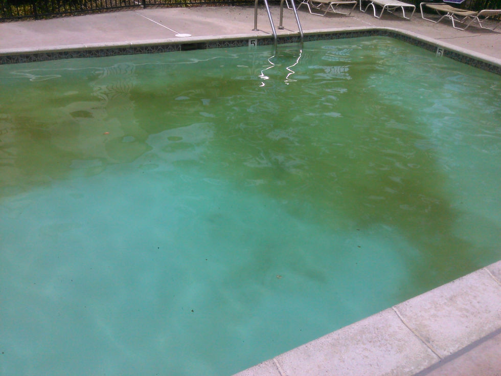 VermontPool1.jpg