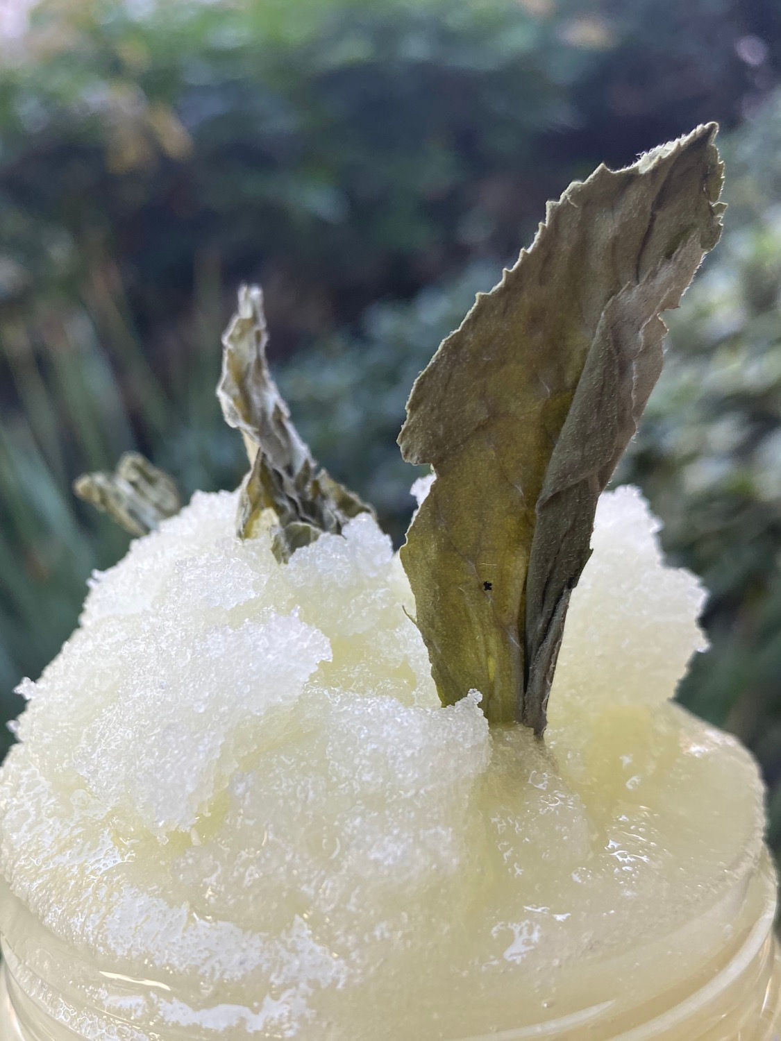 Peppermint Body Scrub 