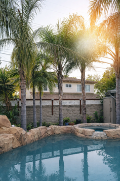 Backyard pool and palm trees at one of our safe nonprofit homes.