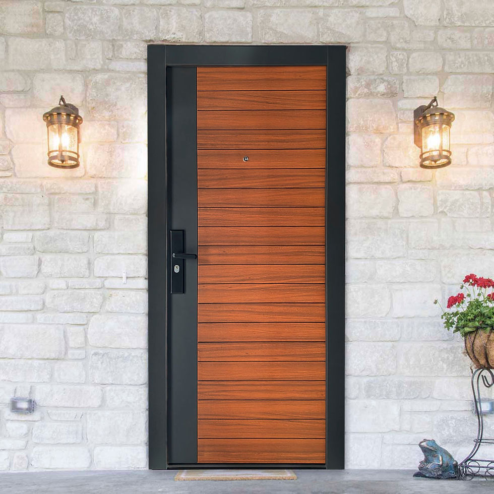 5 razones para comprar una puerta de seguridad barata en el Outlet de Monterrey