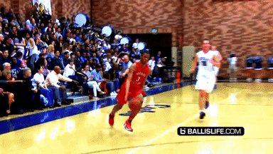 Animated GIF-downsized_large.gif