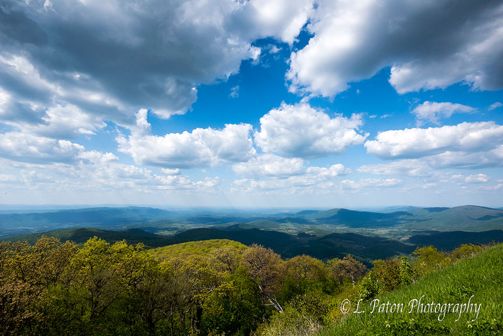 Shenandoah National Park 6