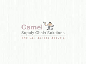 The Camel Flywheel