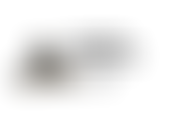 Standing in customers’ shoes - delivering value 