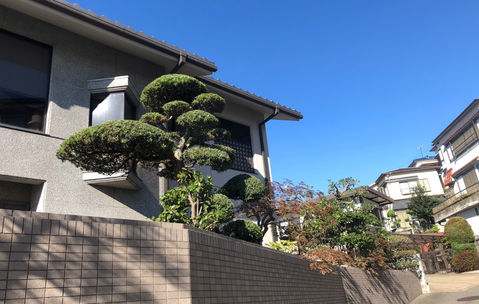 お庭