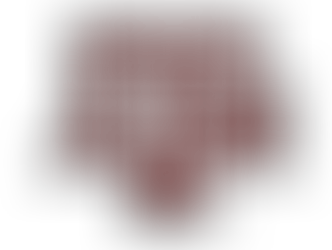 Karen made a HUGE difference in my son’s high school, college search and rugby journey