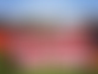 … she is so invested in the success …