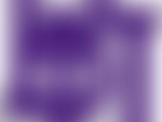 College Program Highlight – Bishop’s University