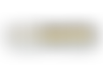 “We couldn’t have done it without your experience, professionalism and kindness!”