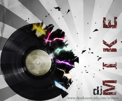 Vinil 3