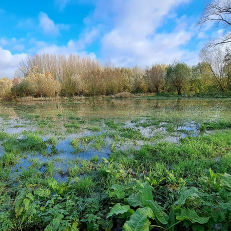 Wijnproeverij Gontrode