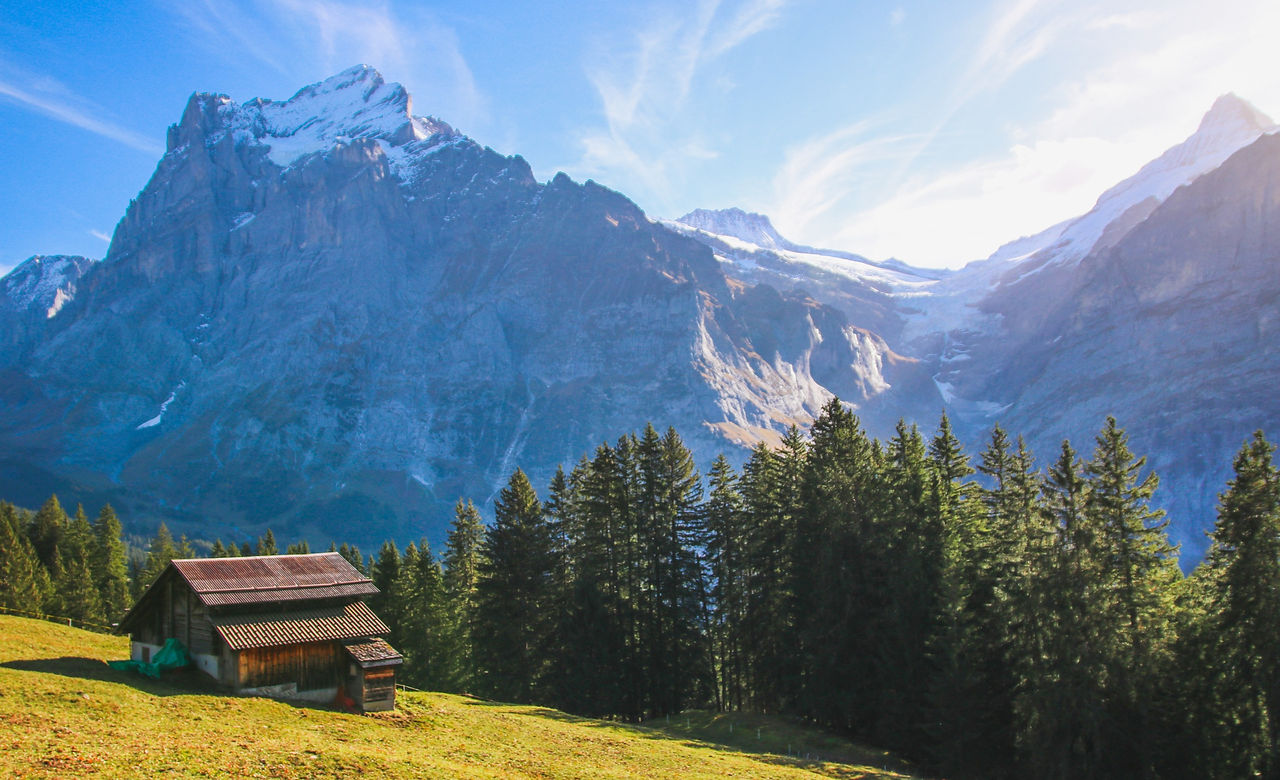 Wooden Hut_edited.jpg