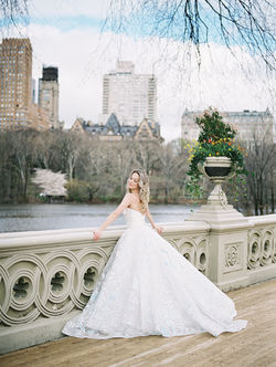 Stephanie Brazzle Photography