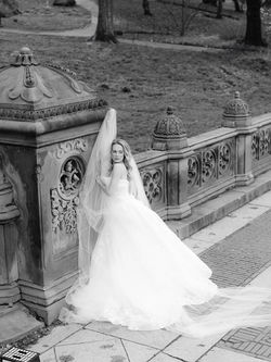 Stephanie Brazzle Photography
