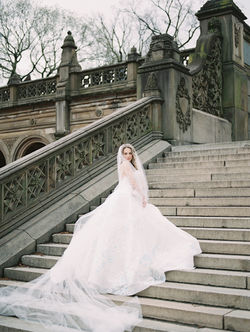 Stephanie Brazzle Photography