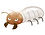 S__42278933_edited_edited.jpg