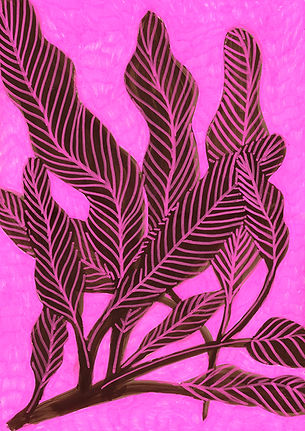 planta 8 low.jpg