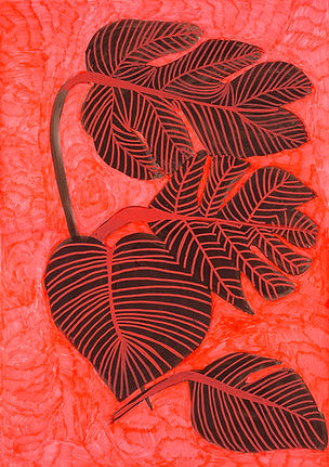 planta 12 low.jpg
