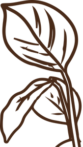 Illustrations - Helens Mini Worlds-35.png