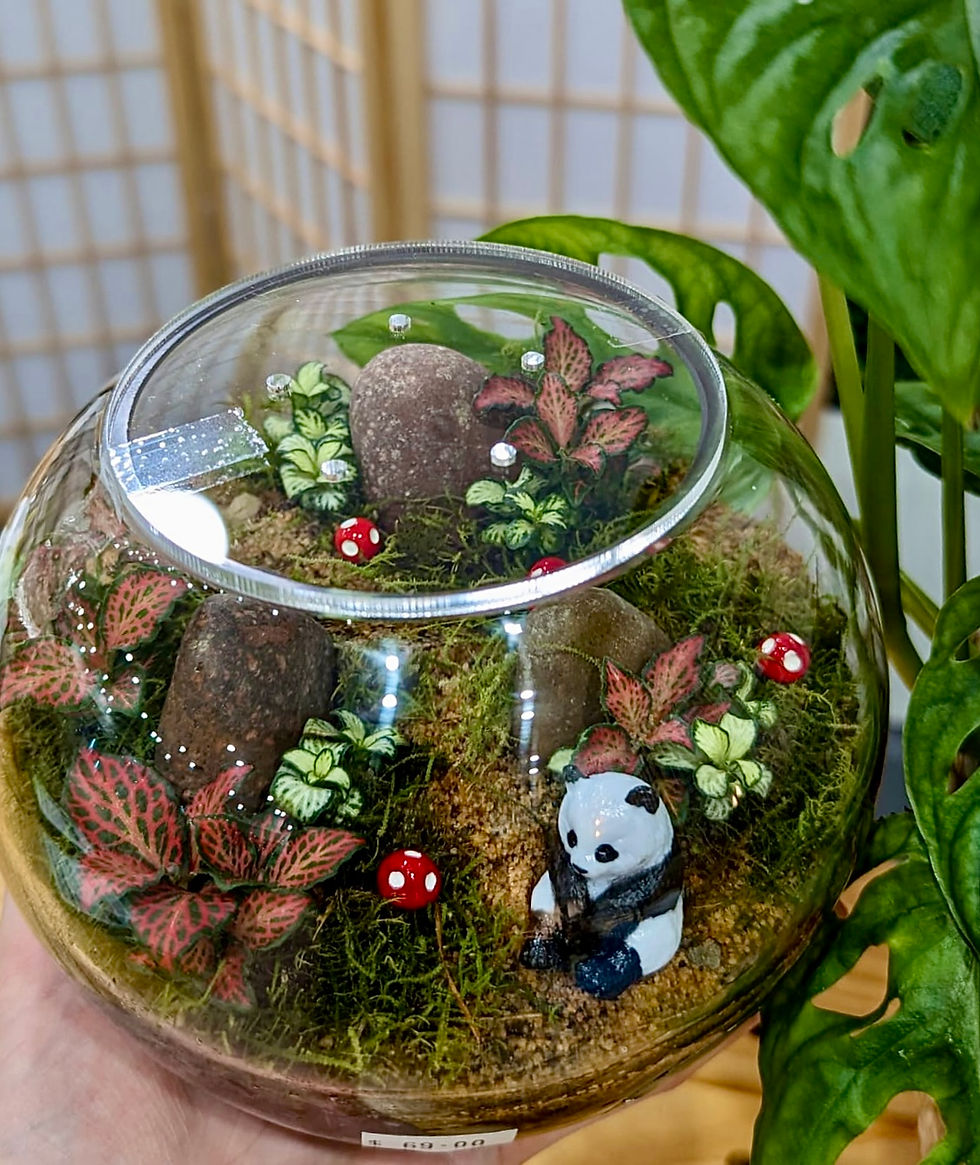 Thumbnail: Zen Garden
