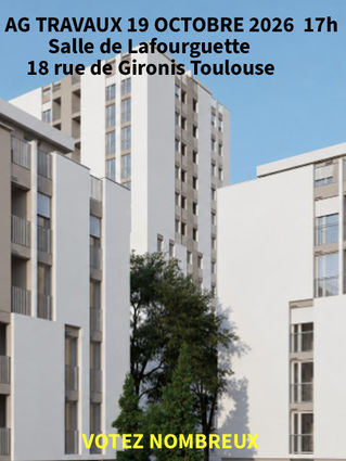 Assemblée Générale Extraordinaire Travaux