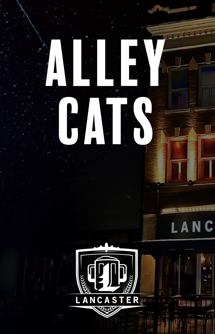 Alley Cats