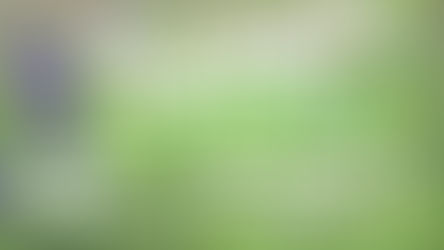 2025 Spring Plant, Seed, & Book Swap!