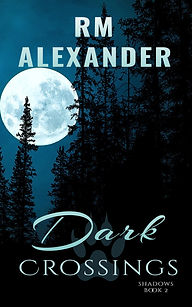 dark crossings new cover (1).jpg
