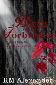 cover for forbidden beginnings-page-001 (1).jpg