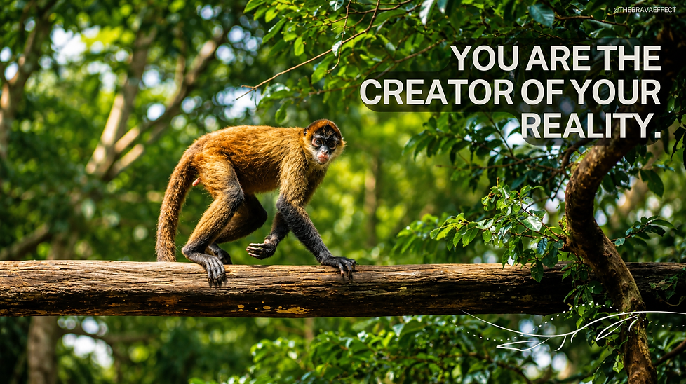 monkey.png