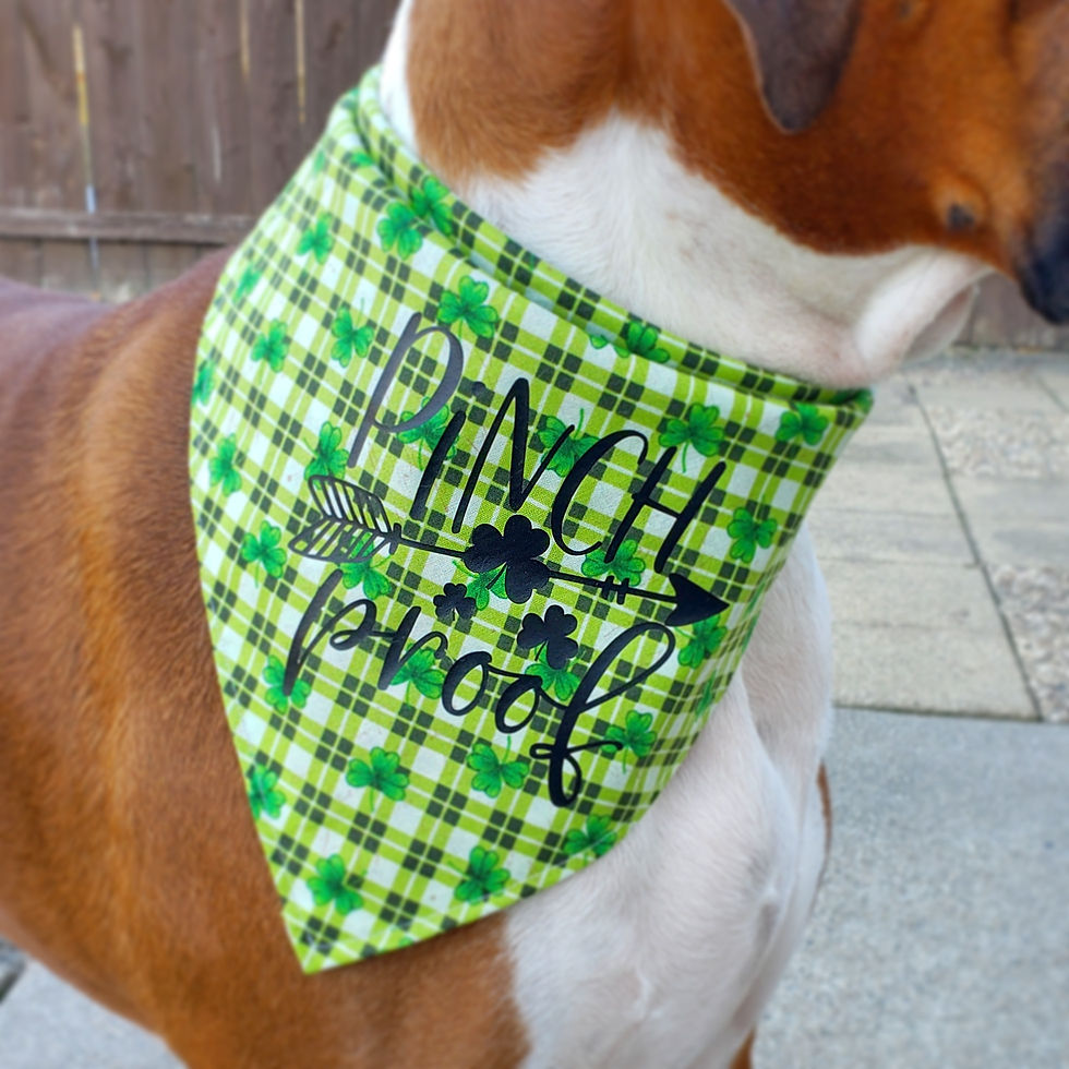 Thumbnail: Themed Bandanas