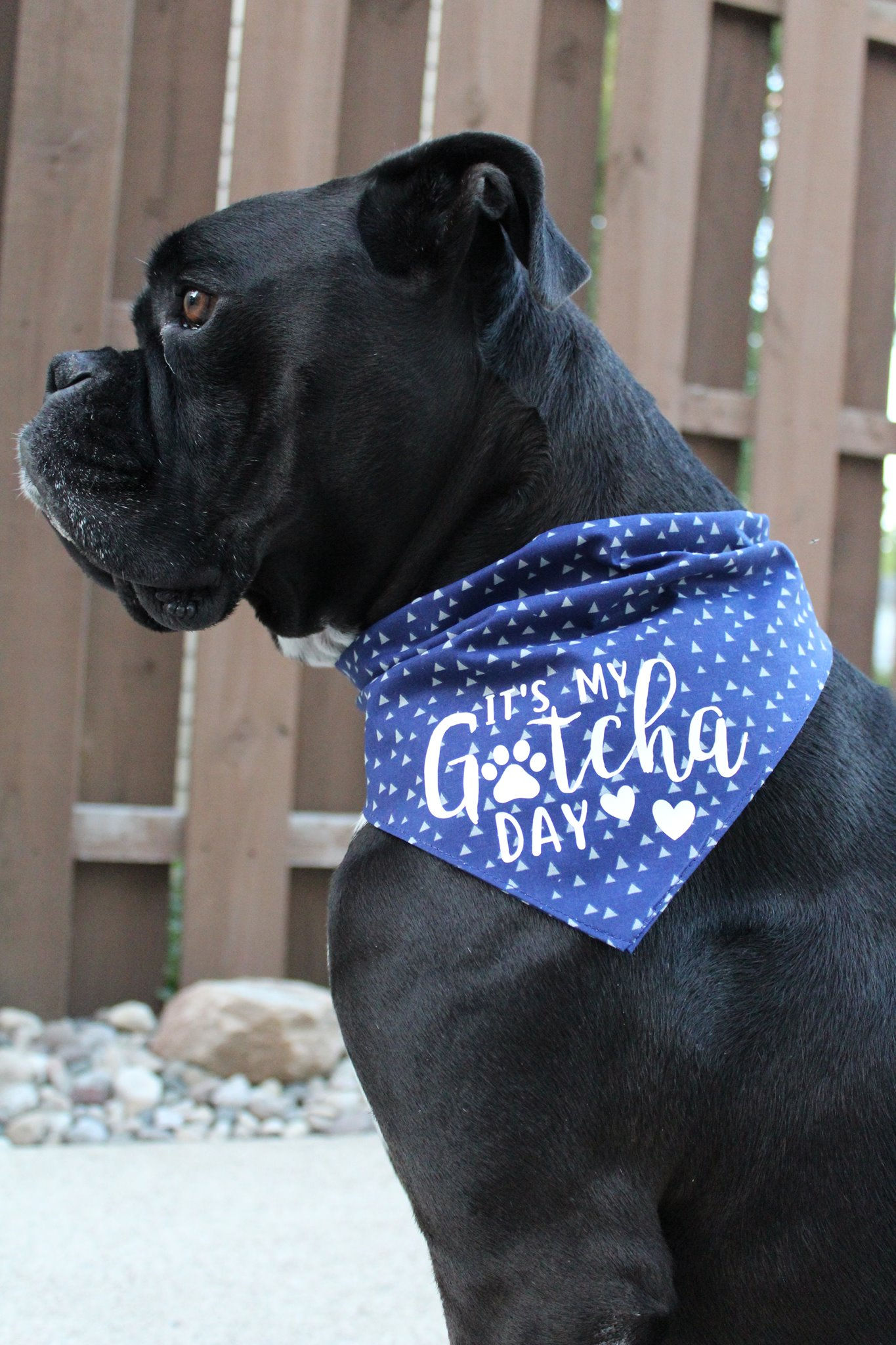 Gotcha Day Bandanas