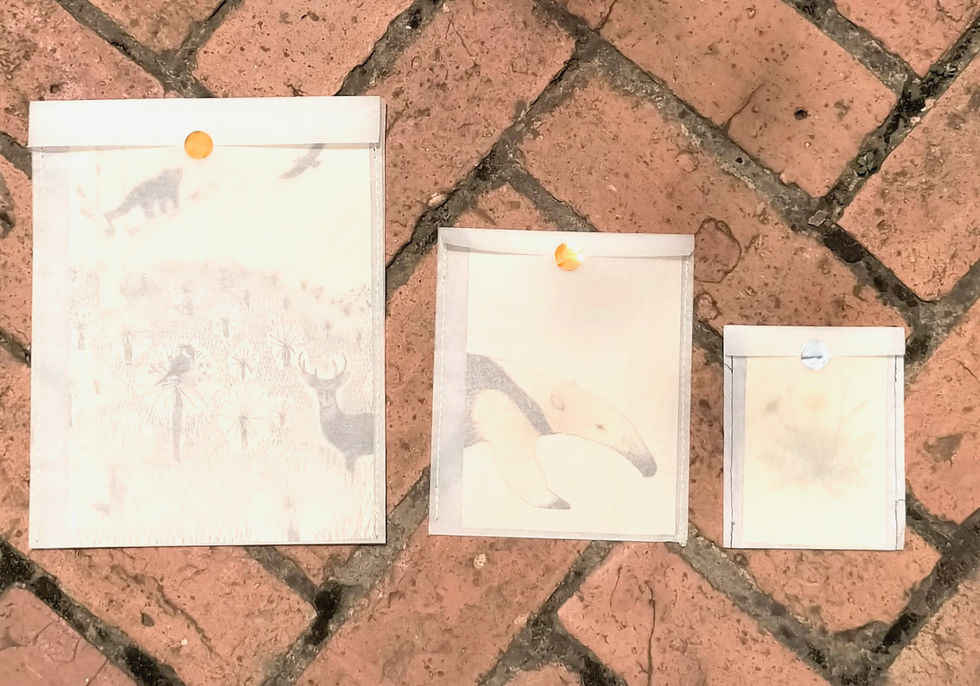 Láminas con las ilustraciones de Oso Melero. Diseño, diseño colombiano