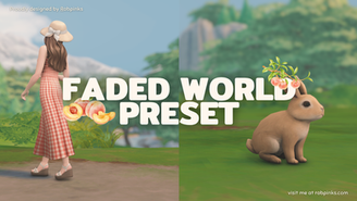 🌿Rabpinks : Faded World Preset