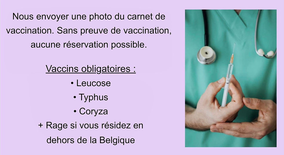 Procédure-réservation-vaccins.jpg