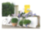 Location Vacances L'Ile d'Yeu / YEU