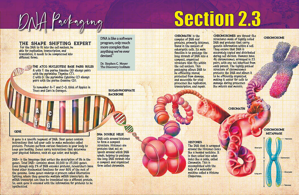 Page featuring DNA