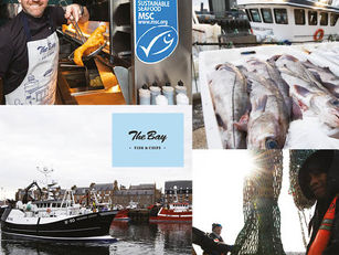 The Bay joins seafood charity in highlighting local sustainable seafood for their summer staycation